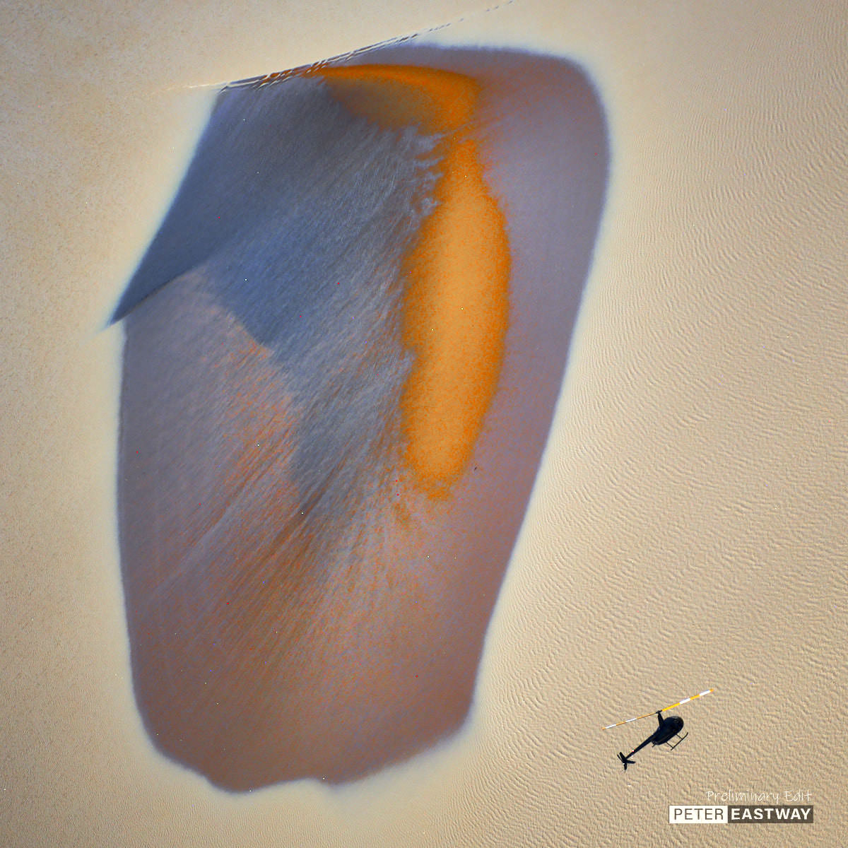 A Fly In The Sky