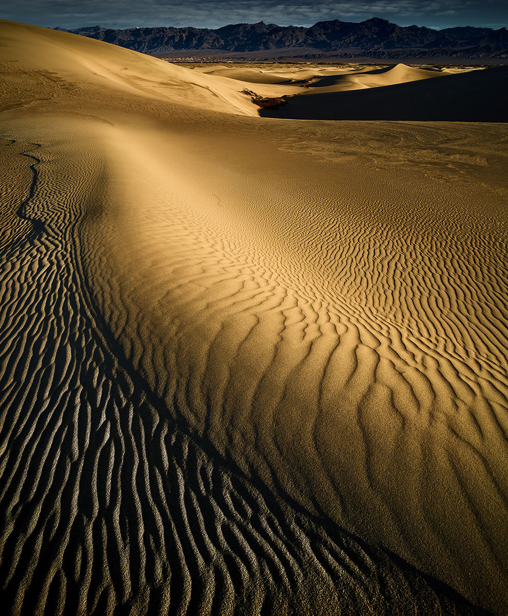 Travel Favourites - Making The Most Of The Dunes