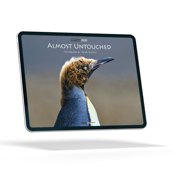 Better Photography subscription is available as a PDF download