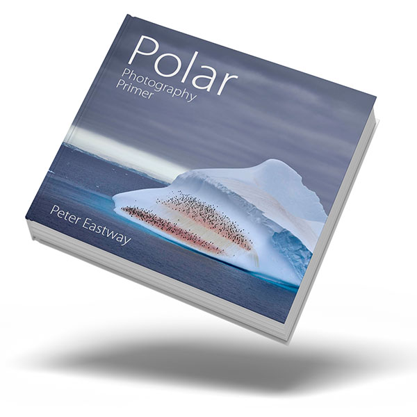 Better Photography subscription is available as a PDF download