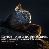 Ecuador2029