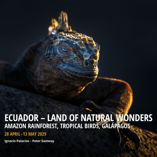 Ecuador2029